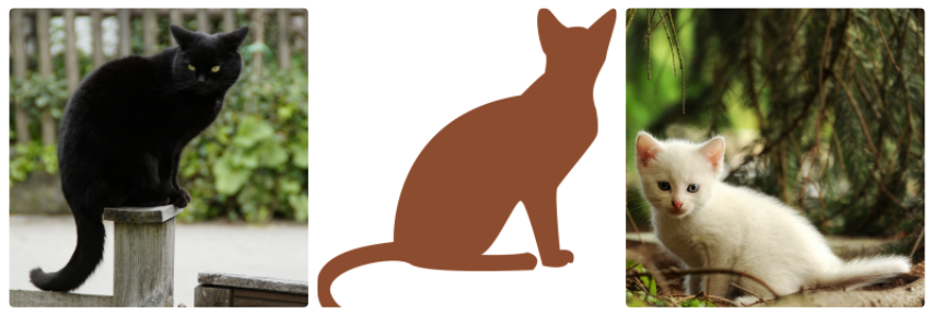 Three pictures of cats. In the first, a black cat sits grouchily, body sideways to the camera., eyes looking at at the photographer. In the second, a brown silhouette sits in a similar position, but sitting more upright. In the third, a young white cat sits looking into the camera. 