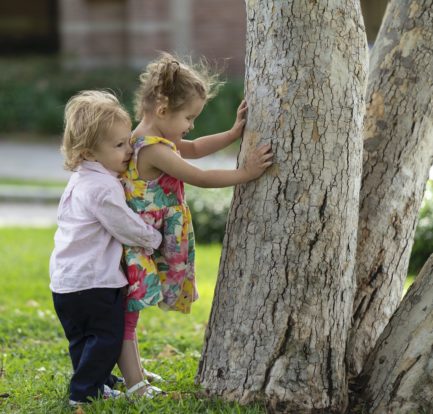 Here, Ellie (wearing a floral print dress and pigtails) explores a tree on the UCLA campus with her hands while her baby brother Sebastian gives her a big hug from behind (he is also blonde and wearing a pink shirt).