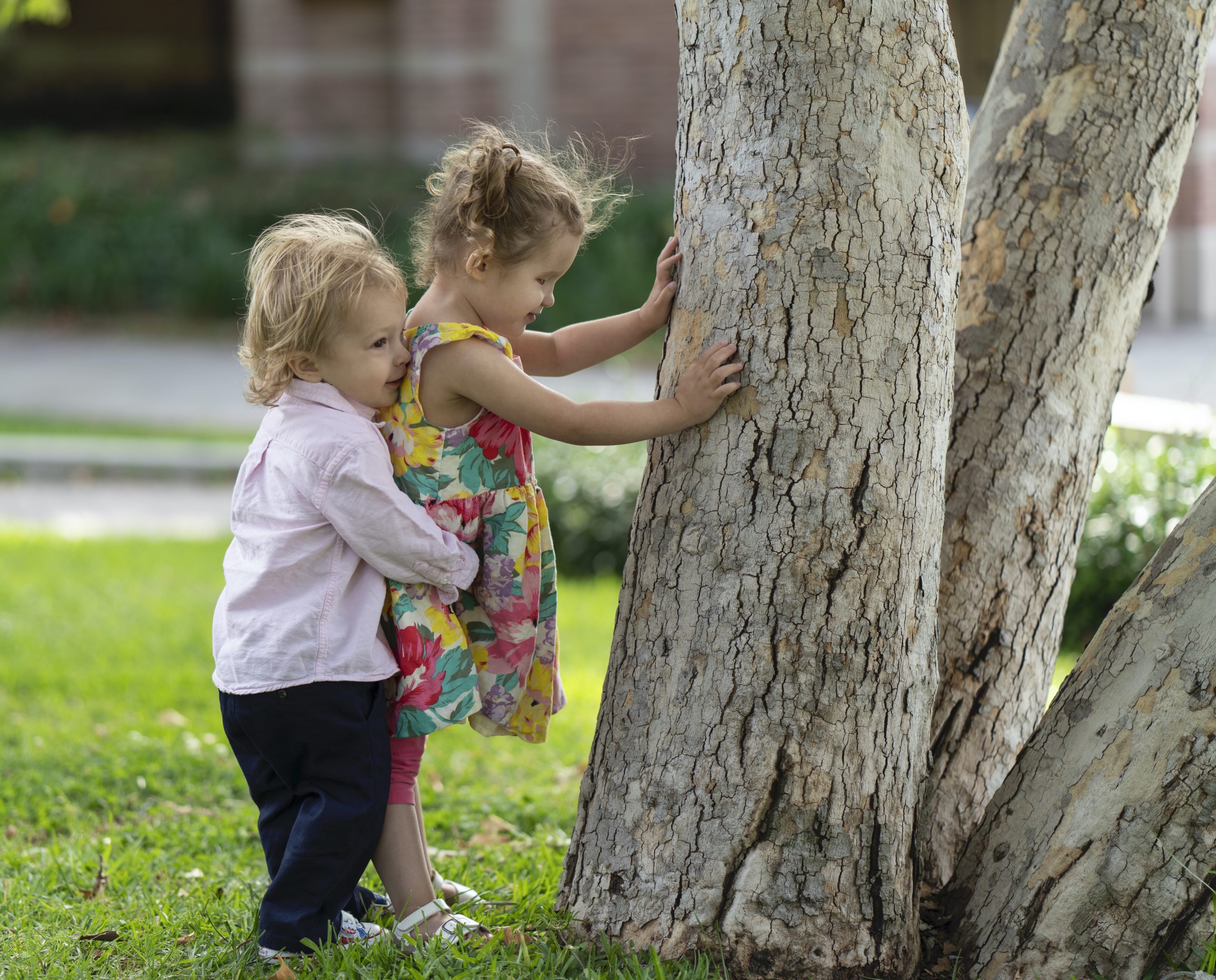 Here, Ellie (wearing a floral print dress and pigtails) explores a tree on the UCLA campus with her hands while her baby brother Sebastian gives her a big hug from behind (he is also blonde and wearing a pink shirt).