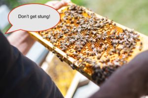 a honeycomb tray covered in bees being held by someone not wearing gloves. A speech bubble says "Don't get stung"
